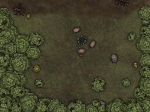 Forest Camp II