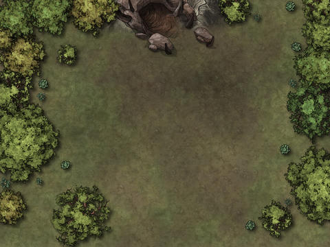 Forest Cave I
