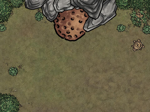 Forest Nest