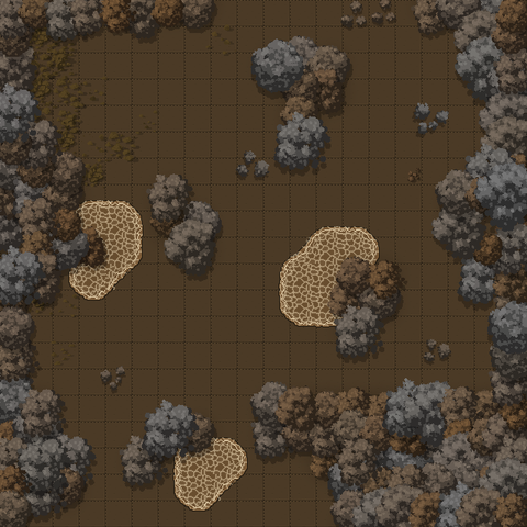 Muddy Forest