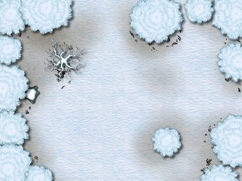 Winter Forest